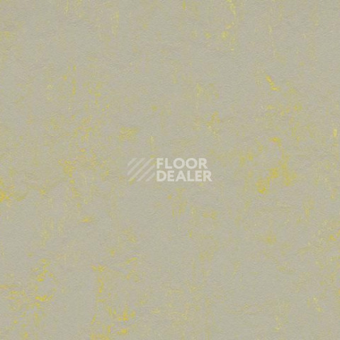 Линолеум Forbo Marmoleum Decibel on Order 373335 yellow shimmer фото 1 | FLOORDEALER